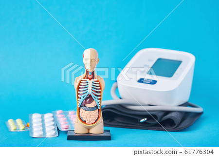 Digital blood pressure monitor, anatomical dummy 61776304