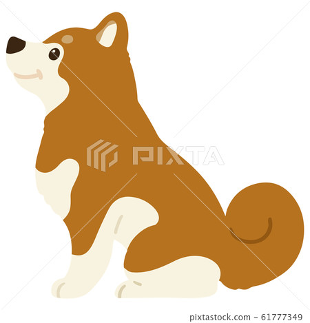 Shiba Inu sitting sideways without outline 61777349