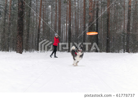 woman playing with a dog in a winter forest during woman playing with a dog in a winter forest during 61778737