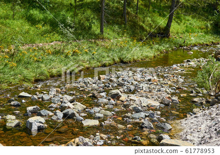 Mountain stream in spring 61778953