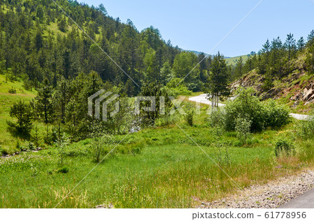 Country road in a landscape 61778956
