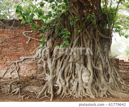 World Heritage Thailand Ayutthaya Ruins Wat Mahathat 61779642