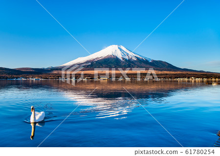 山梨縣冬季的富士山 山梨縣冬季的富士山 61780254