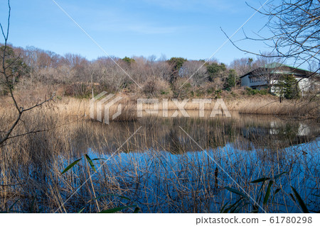 Kitamoto Nature Observation Park Wetlands Kitamoto City, Saitama Prefecture 61780298