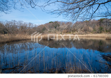Kitamoto Nature Observation Park Wetlands Kitamoto City, Saitama Prefecture 61780300