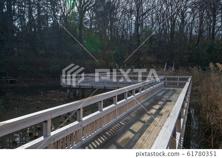 Sa玉縣北本市北本自然觀察公園長廊 Sa玉縣北本市北本自然觀察公園長廊 61780351