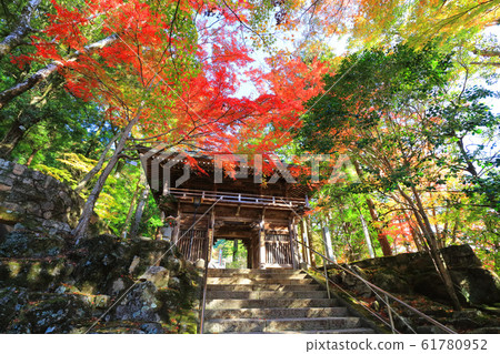 香川縣大久保寺的秋葉 香川縣大久保寺的秋葉 61780952