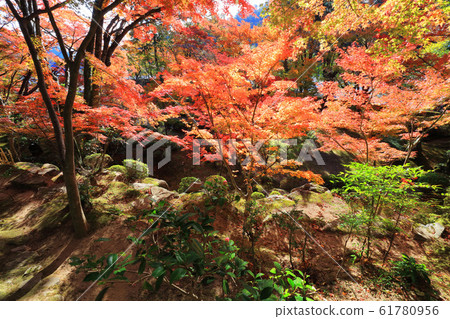 Autumn leaves of Okubo-ji temple in Kagawa prefecture Autumn leaves of Okubo-ji temple in Kagawa prefecture 61780956