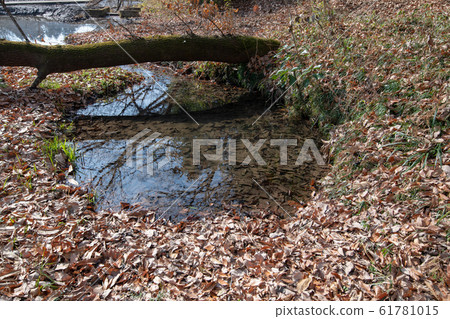 Kitamoto Nature Observation Park Spring Water Kitamoto City, Saitama Prefecture 61781015