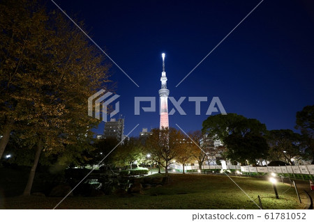 Tokyo / Asakusa / Sky Tree Tokyo / Asakusa / Sky Tree 61781052