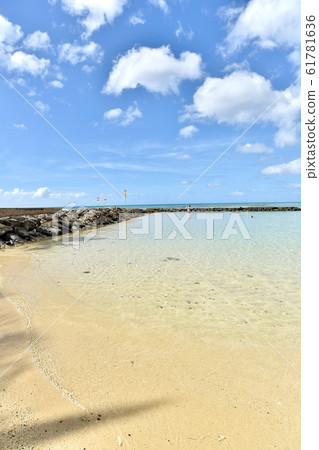 夏威夷的假期 61781636