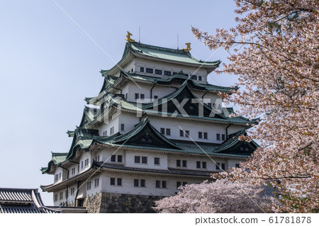 櫻花和名古屋城堡2 櫻花和名古屋城堡2 61781878