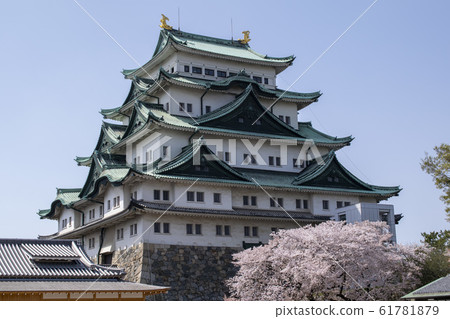 櫻花和名古屋城堡1 61781879