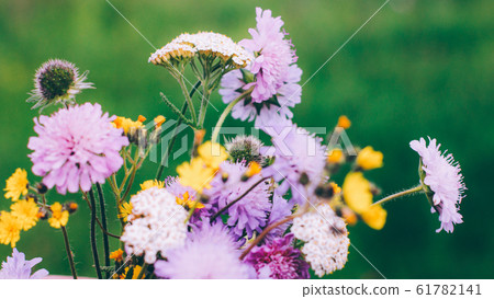 summer bouquet decorative garden flowers plants summer bouquet decorative garden flowers plants 61782141