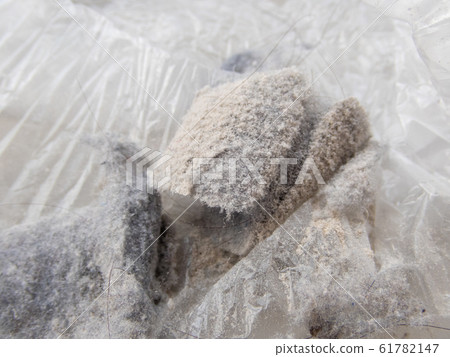 吸塵器中積聚的原始過敏性房屋灰塵 61782147