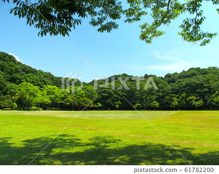 21世紀初夏的森林和開放空間 61782200