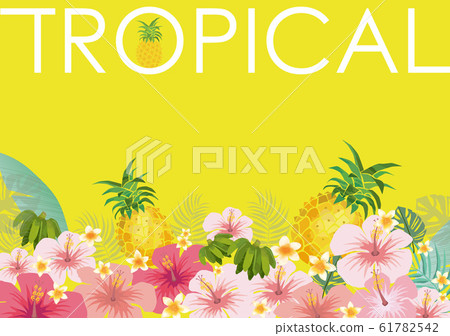 TROPICAL: Hawaii, Tropical, Hibiscus, Tropical, Banana, Okinawa, Plumeria, Pineapple TROPICAL: Hawaii, Tropical, Hibiscus, Tropical, Banana, Okinawa, Plumeria, Pineapple 61782542