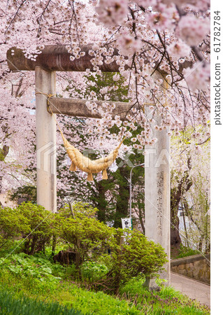 Japan's Top 100 Cherry Blossom Spots, Eboshiyama Park, Japan's No. 1 Ishidorii 61782784