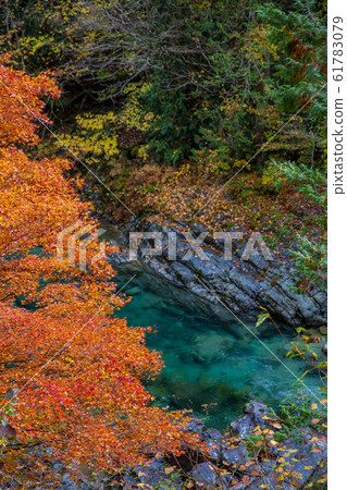 阿特樂穀神明市的秋葉 阿特樂穀神明市的秋葉 61783079