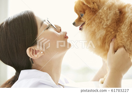 Young woman doing a small dog examination Young woman doing a small dog examination 61783227