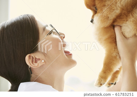 Young woman doing a small dog examination 61783251