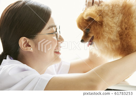 Young woman doing a small dog examination 61783253