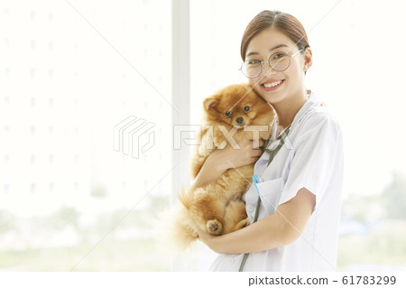Young woman doing a small dog examination Young woman doing a small dog examination 61783299