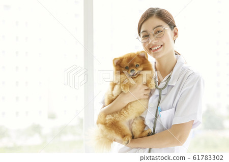 Young woman doing a small dog examination 61783302