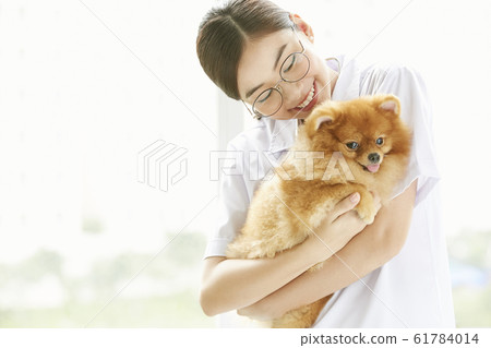Young woman doing a small dog examination 61784014