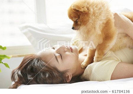 Young woman living with small dog 61784136