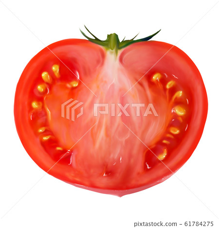 Tomato cross section watercolor sliced tomato Tomato cross section watercolor sliced tomato 61784275