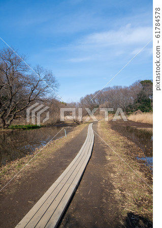 Sa玉縣北本市北本自然觀察公園長廊 61784578