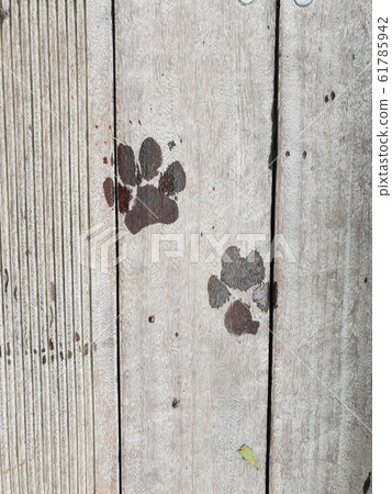 Your footprint Your footprint 61785942