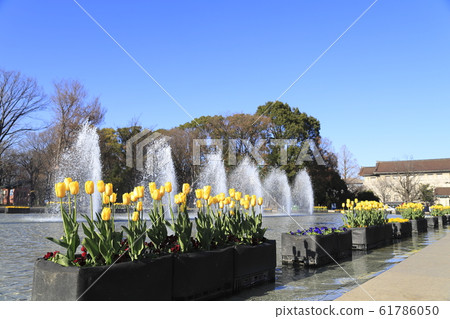 東京國立博物館和噴泉 東京國立博物館和噴泉 61786050