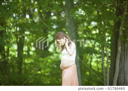母道 母道 61786460