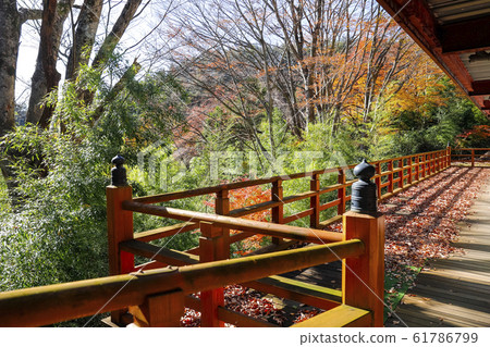 [阪神縣，山梨縣]開天寺，冥想人員階段 61786799