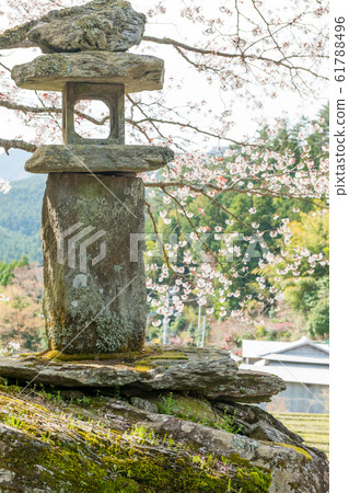 Rakujin no Satoyama Sakura 61788496