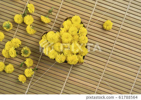 Chrysanthemum, close-up, organic, petal, love, heart-shaped 61788564