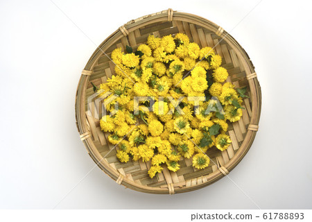 菊花,特寫,有機,花瓣 菊花,特寫,有機,花瓣 61788893