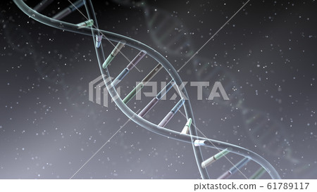 DNA基因染色體雙螺旋生物醫學 61789117
