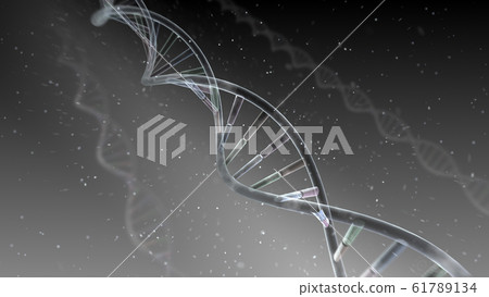 DNA基因染色體雙螺旋生物醫學 61789134