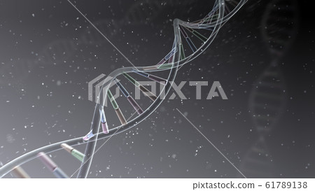 DNA基因染色體雙螺旋生物醫學 61789138