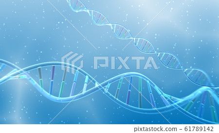 DNA基因染色體雙螺旋生物醫學 61789142