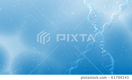DNA基因染色體雙螺旋生物醫學 61789143