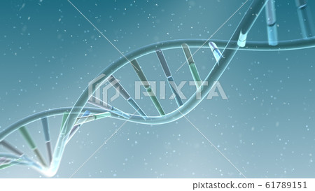 DNA基因染色體雙螺旋生物醫學 61789151