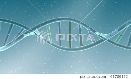 DNA基因染色體雙螺旋生物醫學 61789152