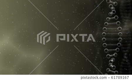 DNA基因染色體雙螺旋生物醫學 61789167