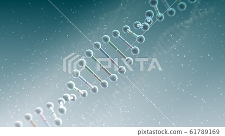 DNA gene chromosome double helix biomedical science 61789169