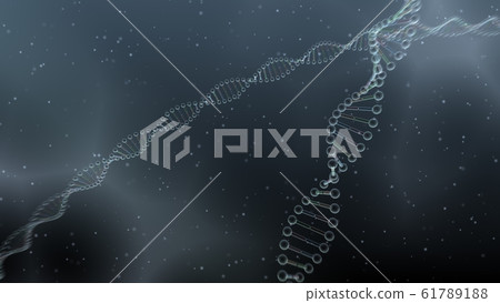 DNA基因染色體雙螺旋生物醫學 61789188