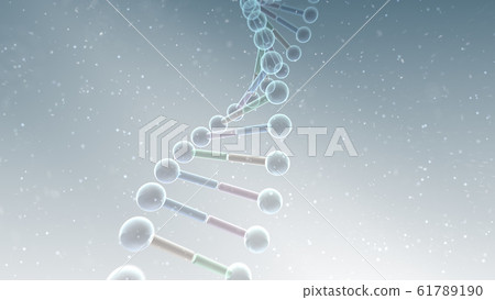 DNA基因染色體雙螺旋生物醫學 61789190
